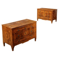 Antique Pair of Louis XVI Chests of Drawers, Piacenza, Late 18th Century