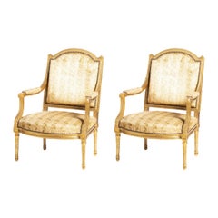Antique Pair of Louis XVI French Style Fauteuils, 19th Century