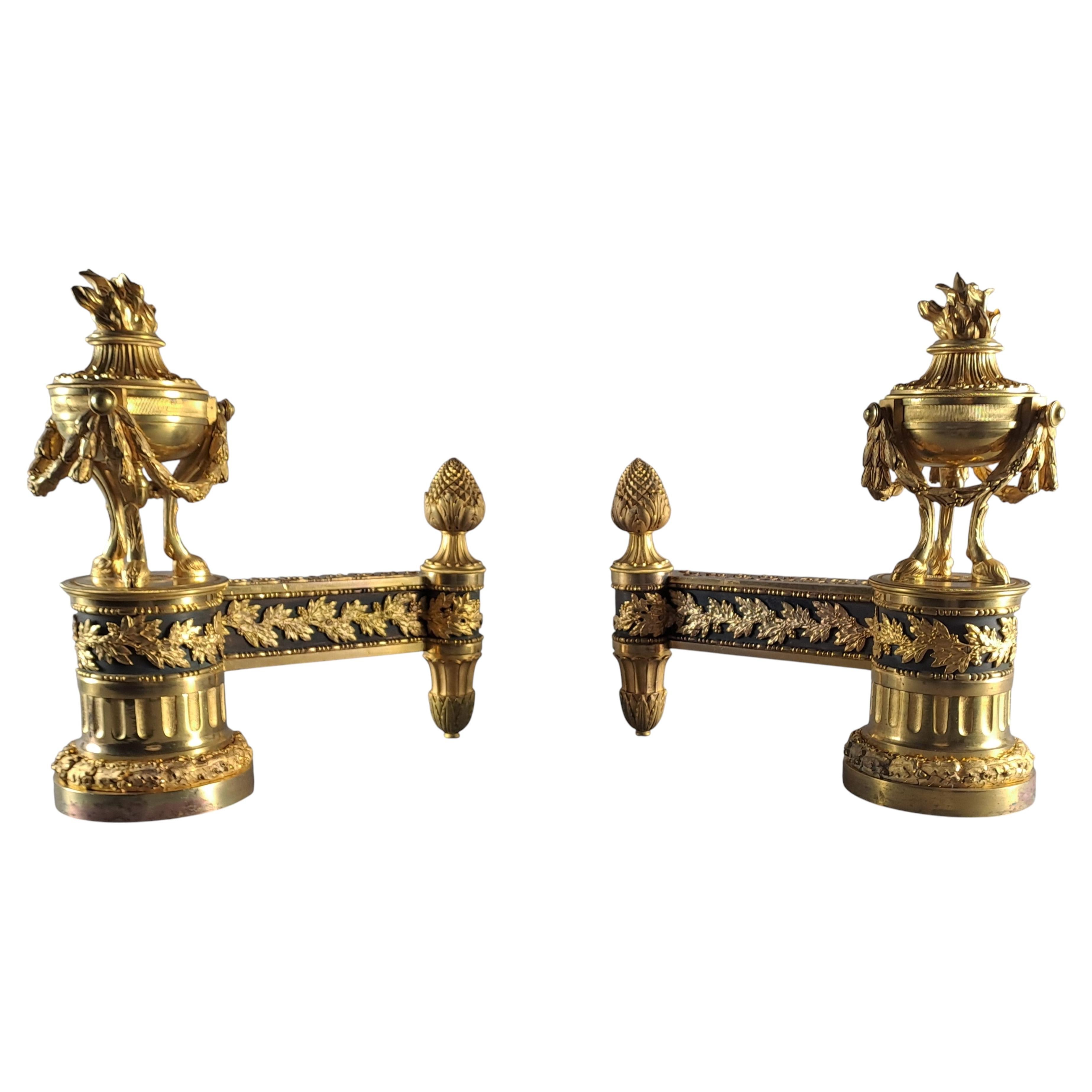 Pair Of Louis XVI Ormolu And Patinated Andirons For Sale