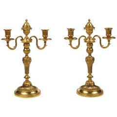 Pair of Louis XVI Ormolu Two Light Candelabra