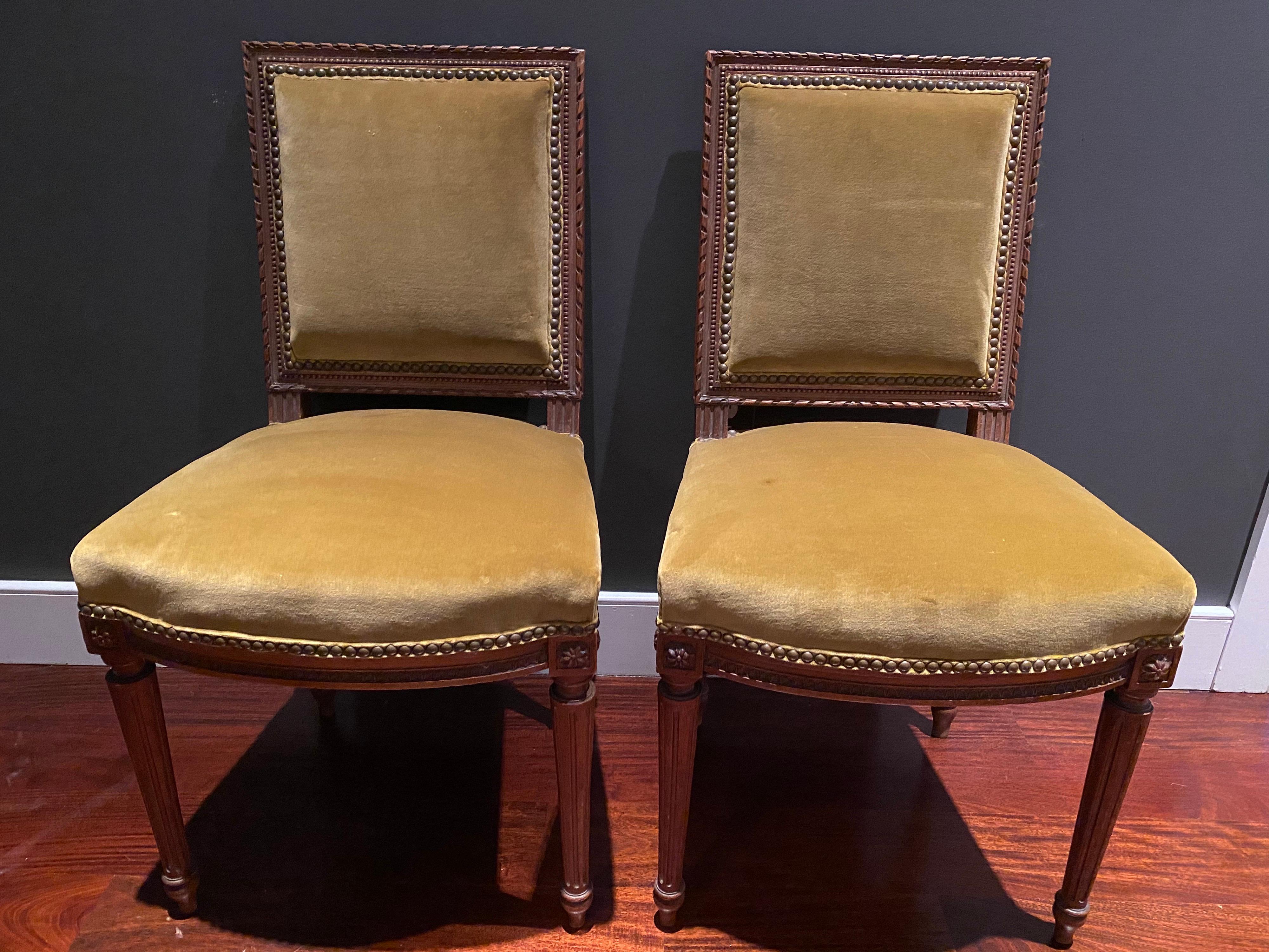 A pair of Louis XVI style side chairs upholstered in mustard yellow velvet with contrasting white cotton backs.