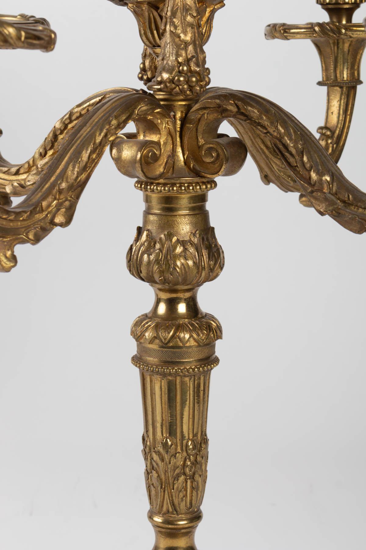 Pair of Louis XVI Style 5-Light Candelabra in Gilded Bronze In Good Condition In Saint-Ouen, FR