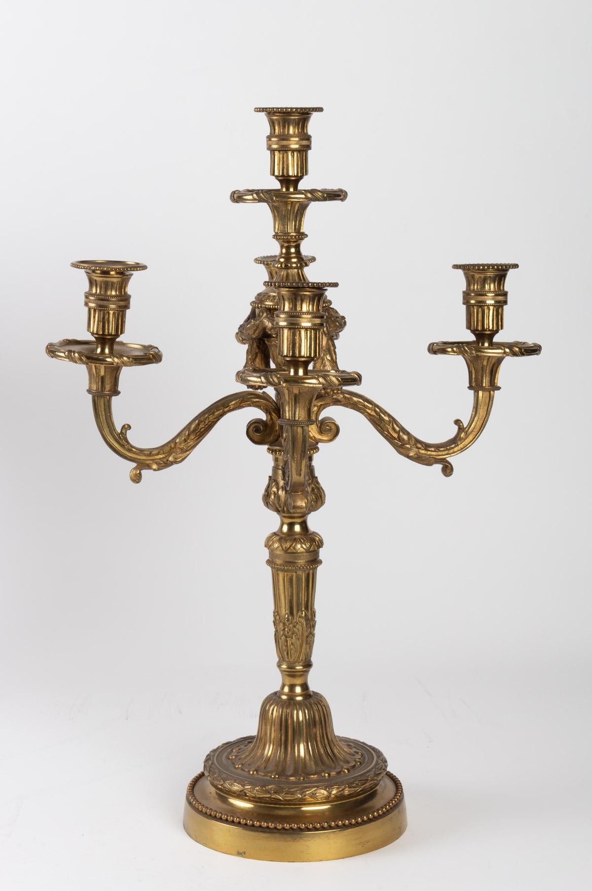 Pair of Louis XVI Style 5-Light Candelabra in Gilded Bronze 1