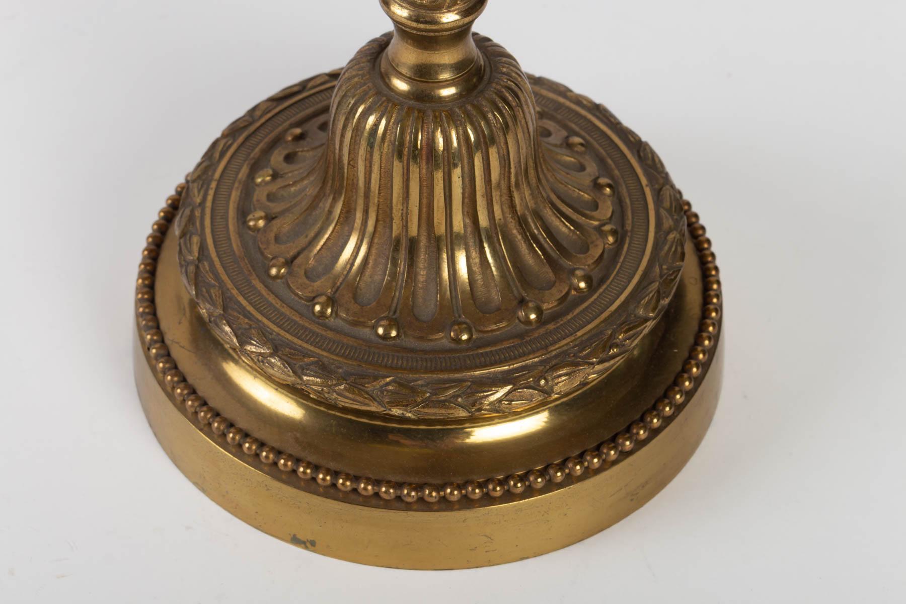 Pair of Louis XVI Style 5-Light Candelabra in Gilded Bronze 2