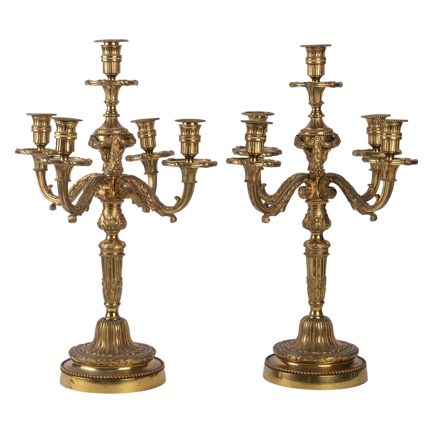 Pair of Louis XVI Style 5-Light Candelabra in Gilded Bronze