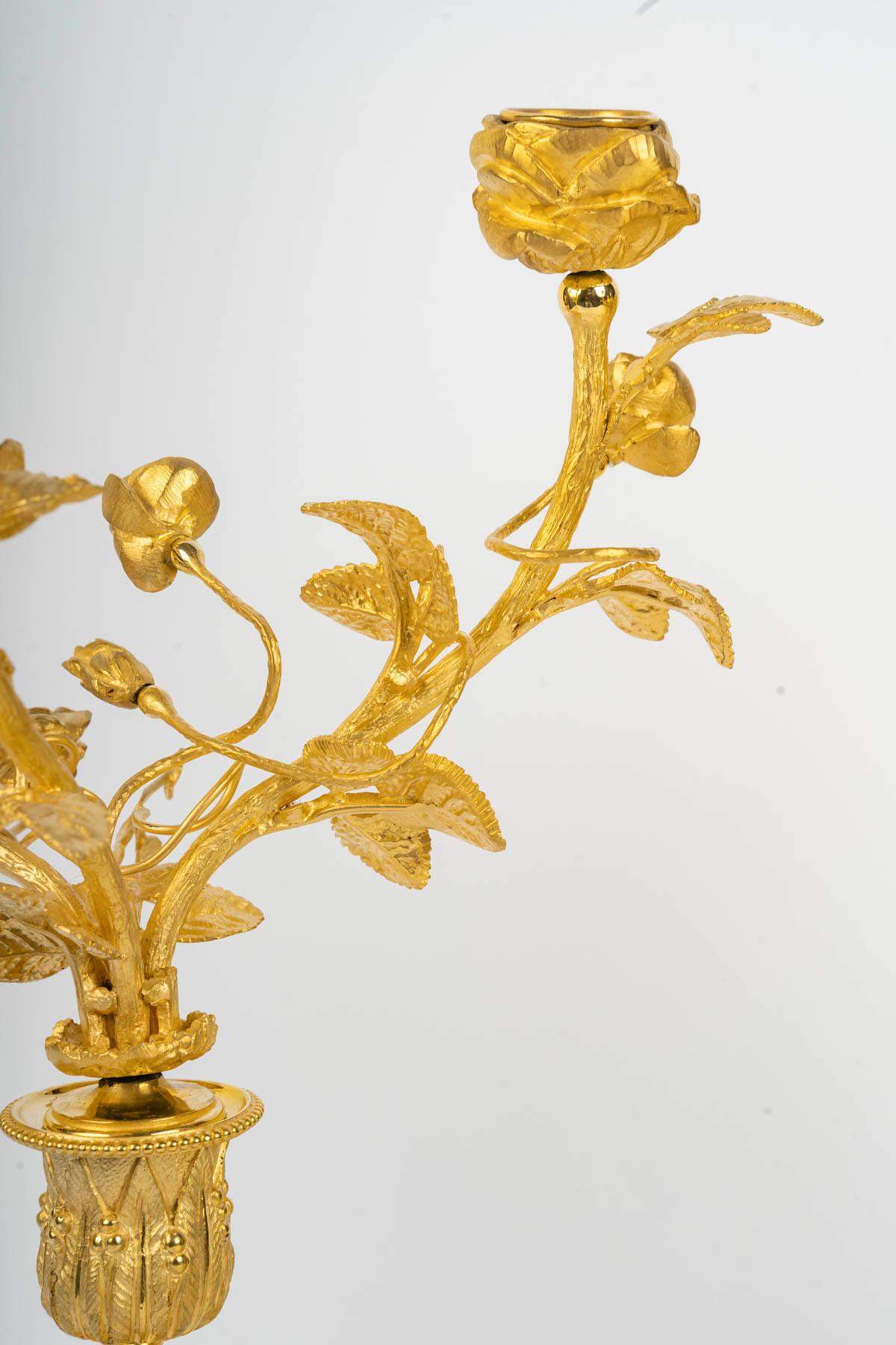 Dorato Coppia di candelabri in stile Luigi XVI, XIX secolo. in vendita