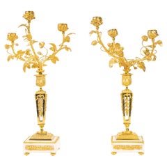 Paire de candélabres de style Louis XVI, 19ème siècle.