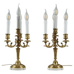 Pair of Louis XVI style candelabra in gilt bronze