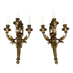 Pair of Louis XVI Style Doré Bronze Sconces