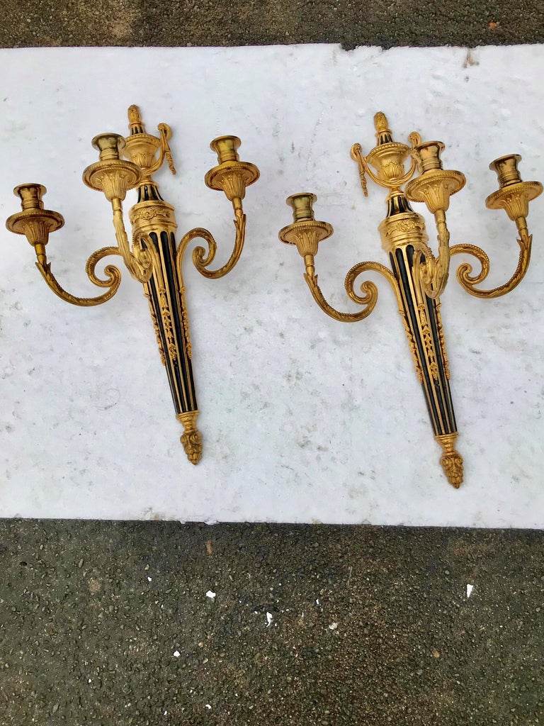 Pair of Louis XVI Style Gilt and Patinated Bronze Three Light Sconces ...