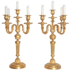 Pair of Louis XVI Style Gilt Bronze 5-Light Candelabra