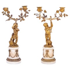 Pareja de candelabros figurados de bronce dorado estilo Luis XVI