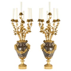 Coppia di candelabri a sei luci in marmo con montatura in bronzo dorato in stile Luigi XVI