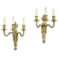 Pair of Louis XVI Style Gilt Bronze Wall Lights by E.F.Caldwell & Co