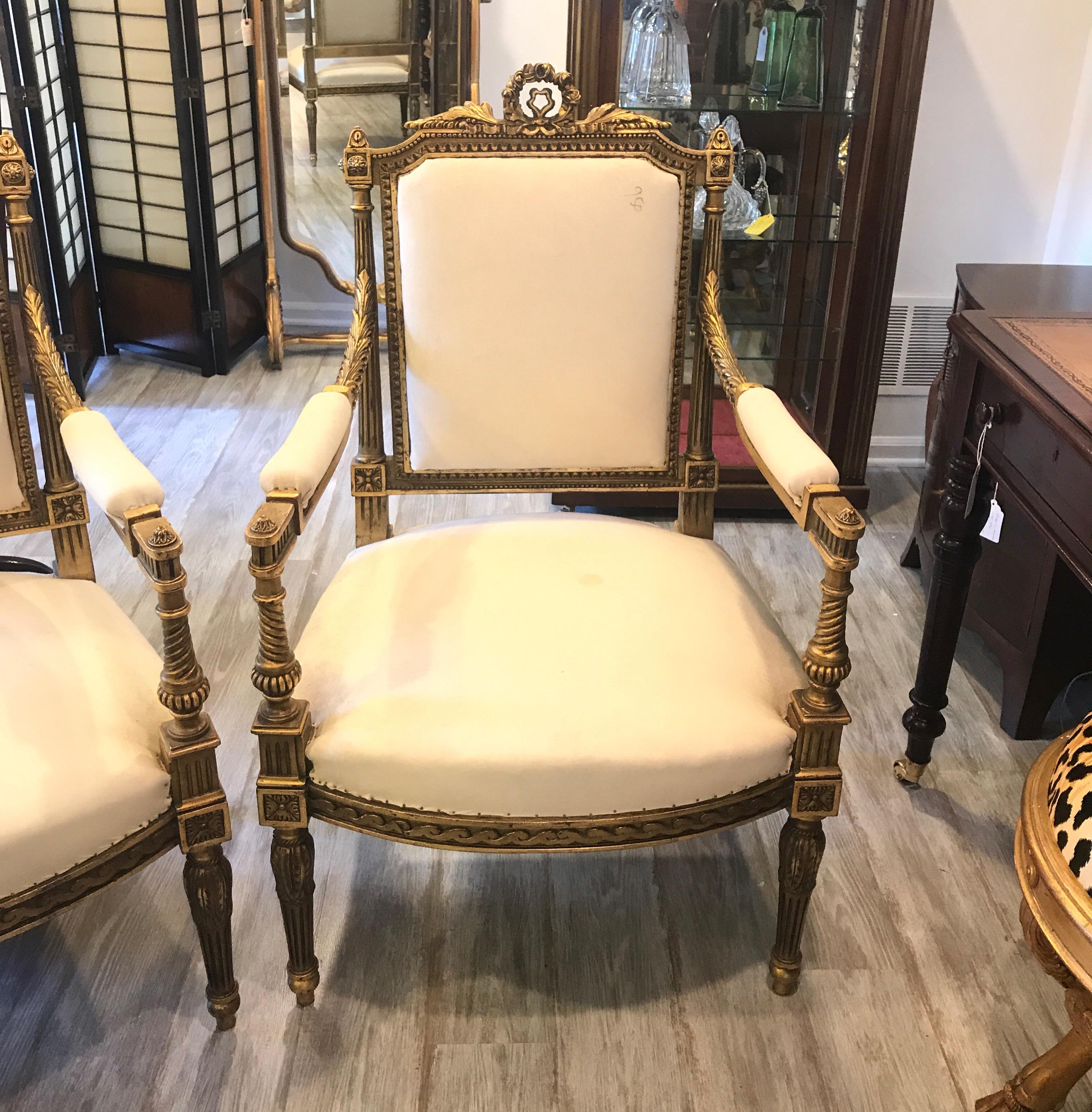 A pair of elegant carved giltwood armchairs. Louis XVI style made in Egypt in the French taste. These chairs are covered in a plain muslin cotton, ready to have the final fabric upholstered on them. The muslin is spotted from age. Measures: 41 in.