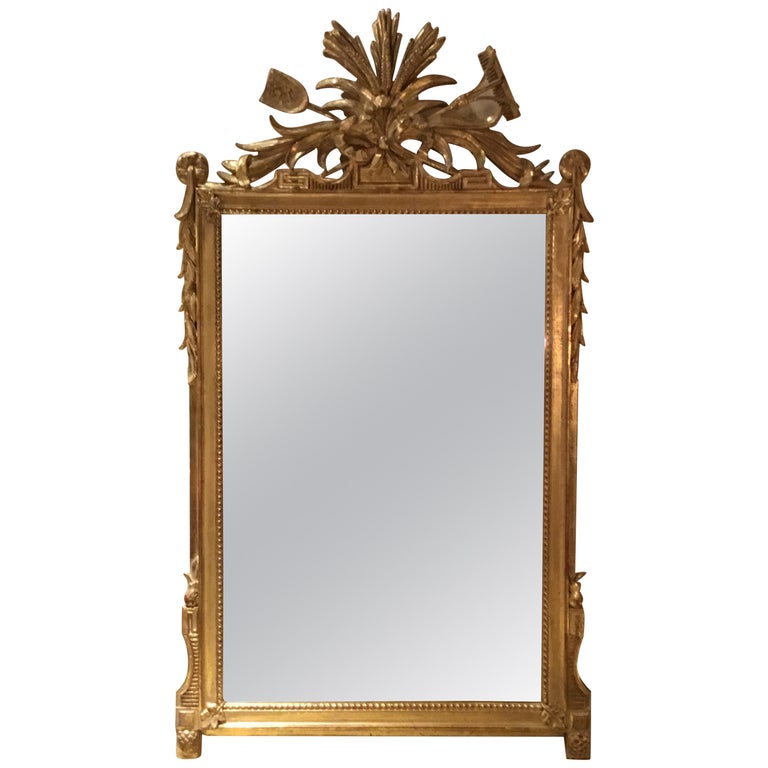 Pair of Louis XVI Style Giltwood Mirrors, 20th Century For Sale at 1stDibs