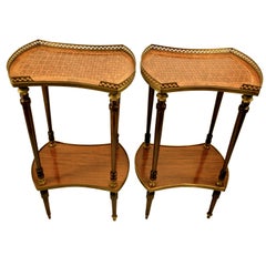 Pair of Louis XVI Style Marquetry Side Tables