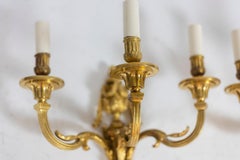 Pair of Louis XVI Style Sconces in Gilded Bronze, circa 1880