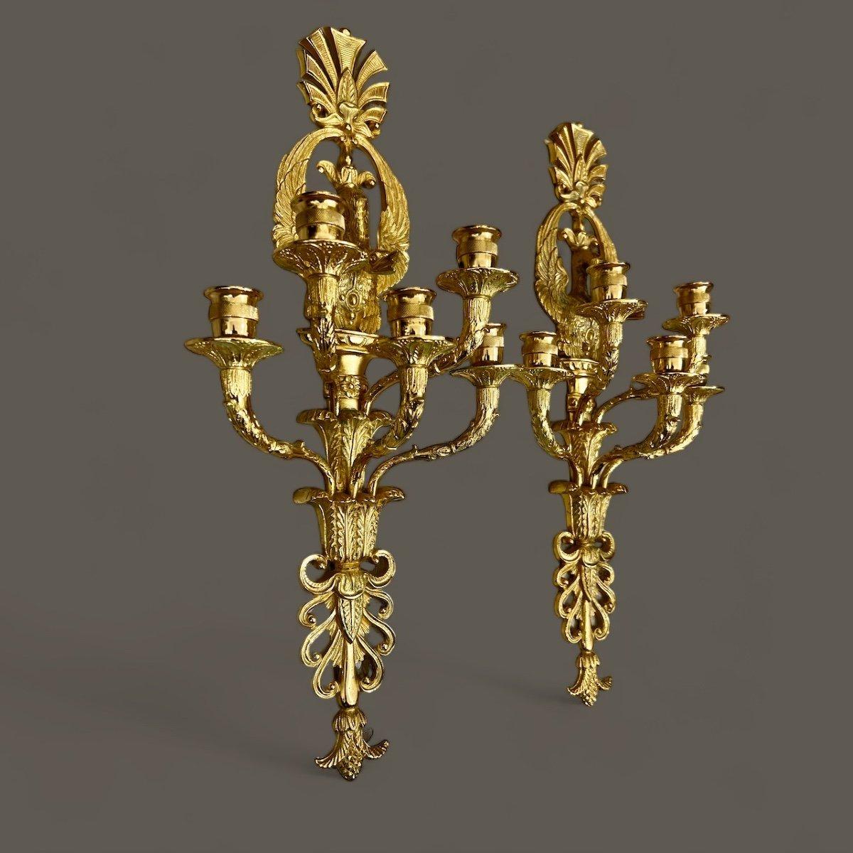 Cette paire d'appliques en bronze doré comporte cinq lumières chacune. Elles sont ornées de motifs de cygnes et de palmettes, incarnant le style opulent de Louis XVI. La qualité de la dorure est impeccable.

Il est également possible d'électrifier