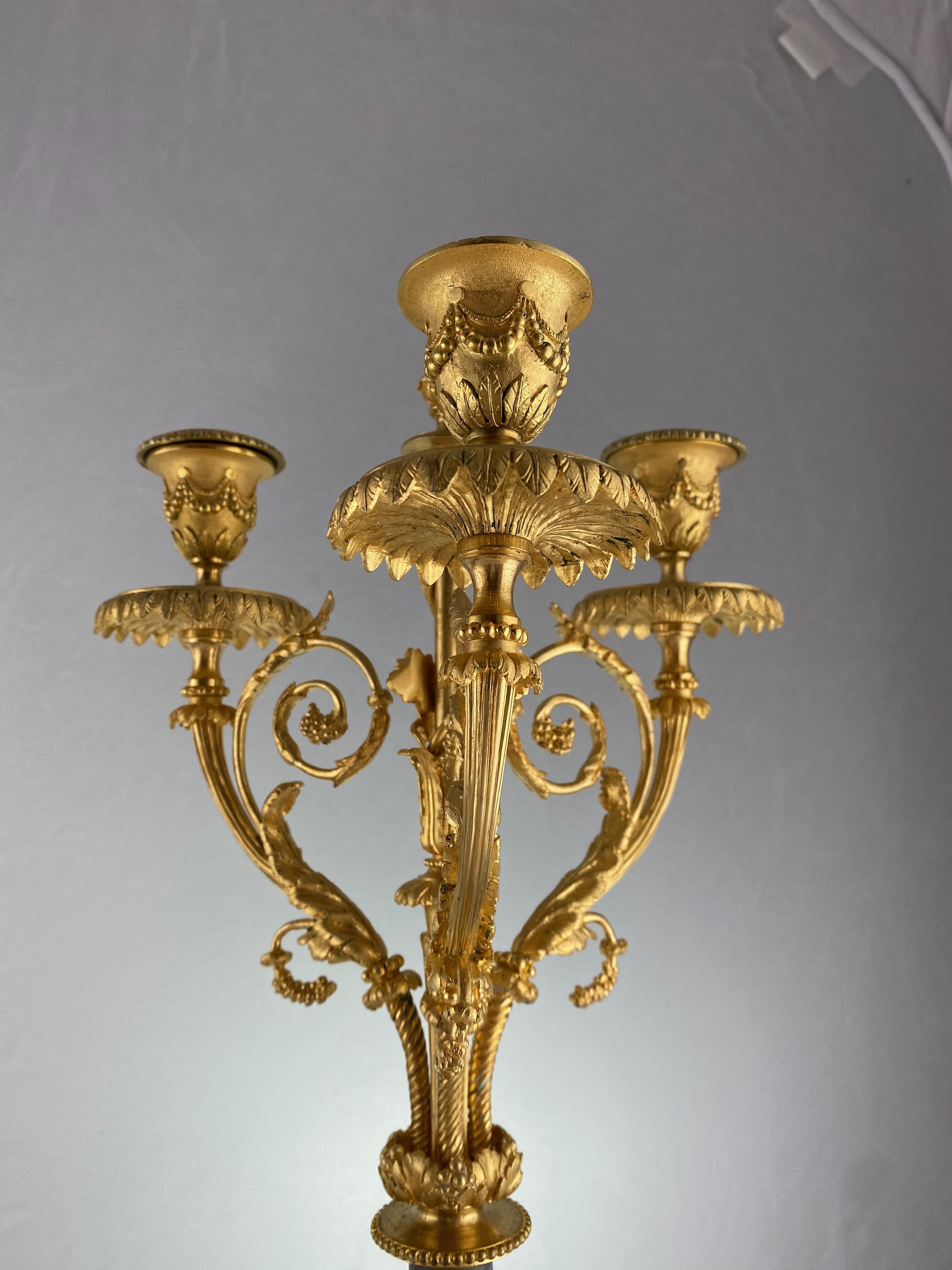 Louis XVI Pair of Louix XVl Style Candelabra, 19th C