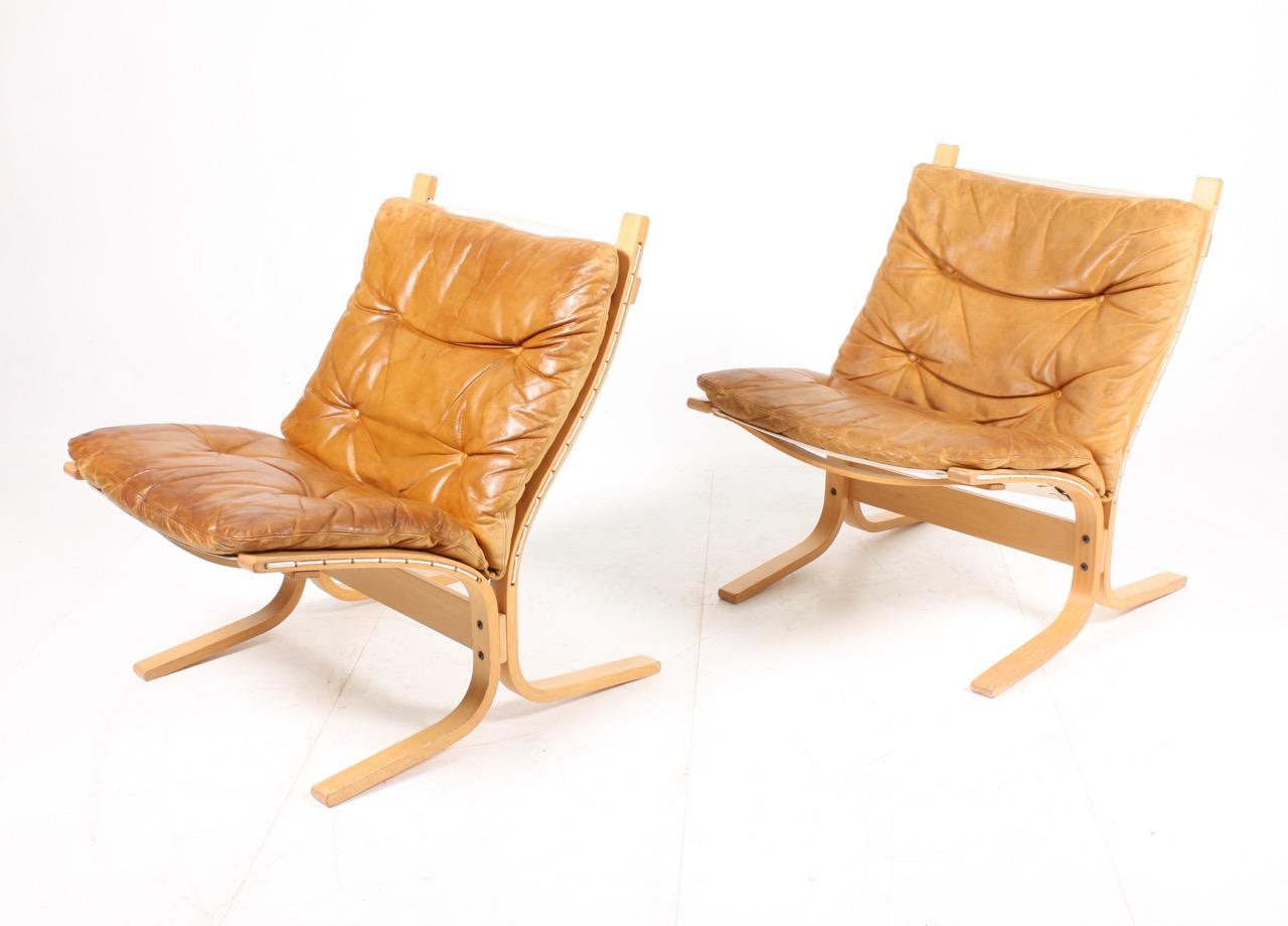Pair of great looking lounge chairs in plywood and patinated leather designed by Ingmar Relling in 1965. Made in Norway. Great original condition.