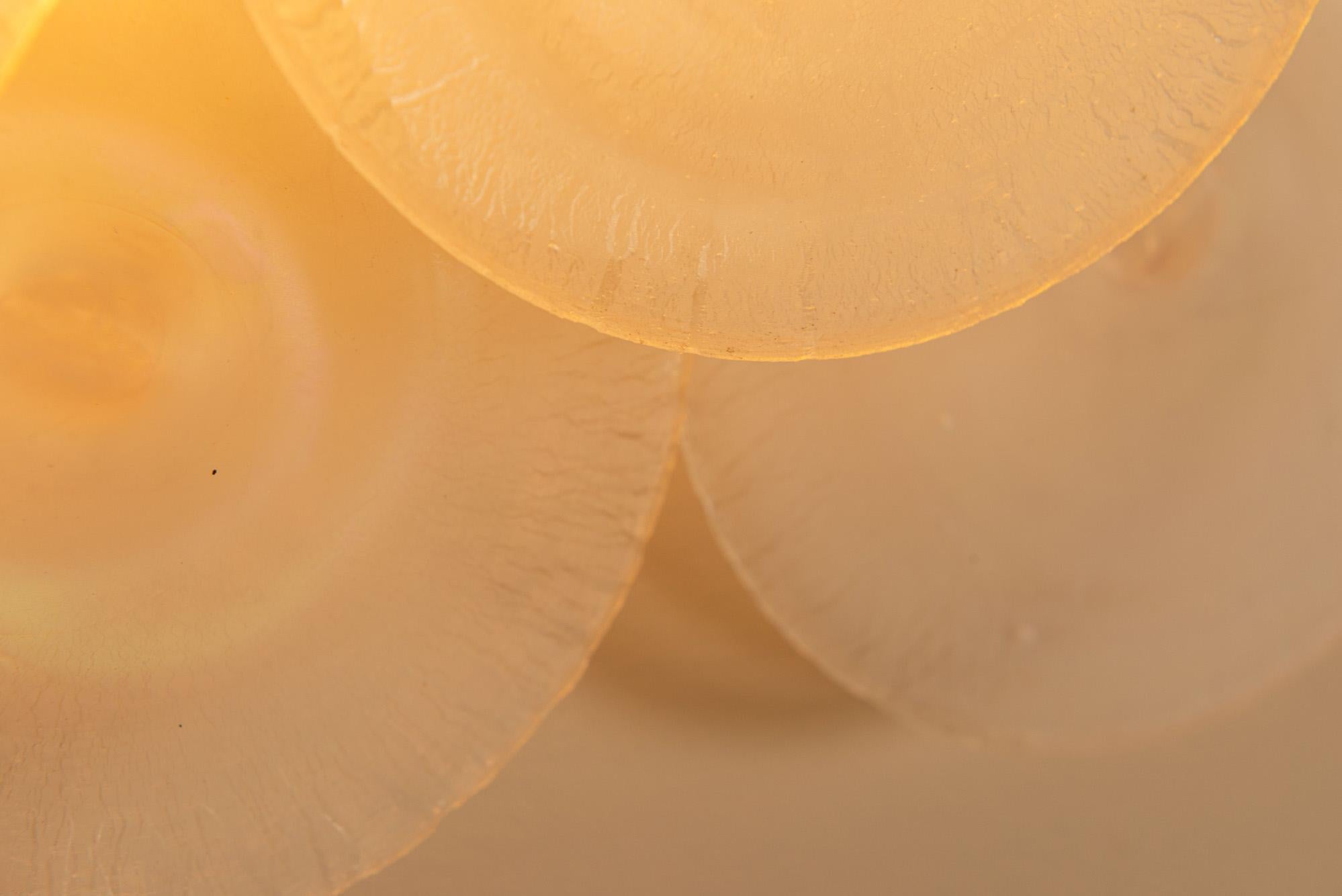 Pareja de apliques LP 235 de Carlo Nason para Mazzega, Italia1970s en venta 3