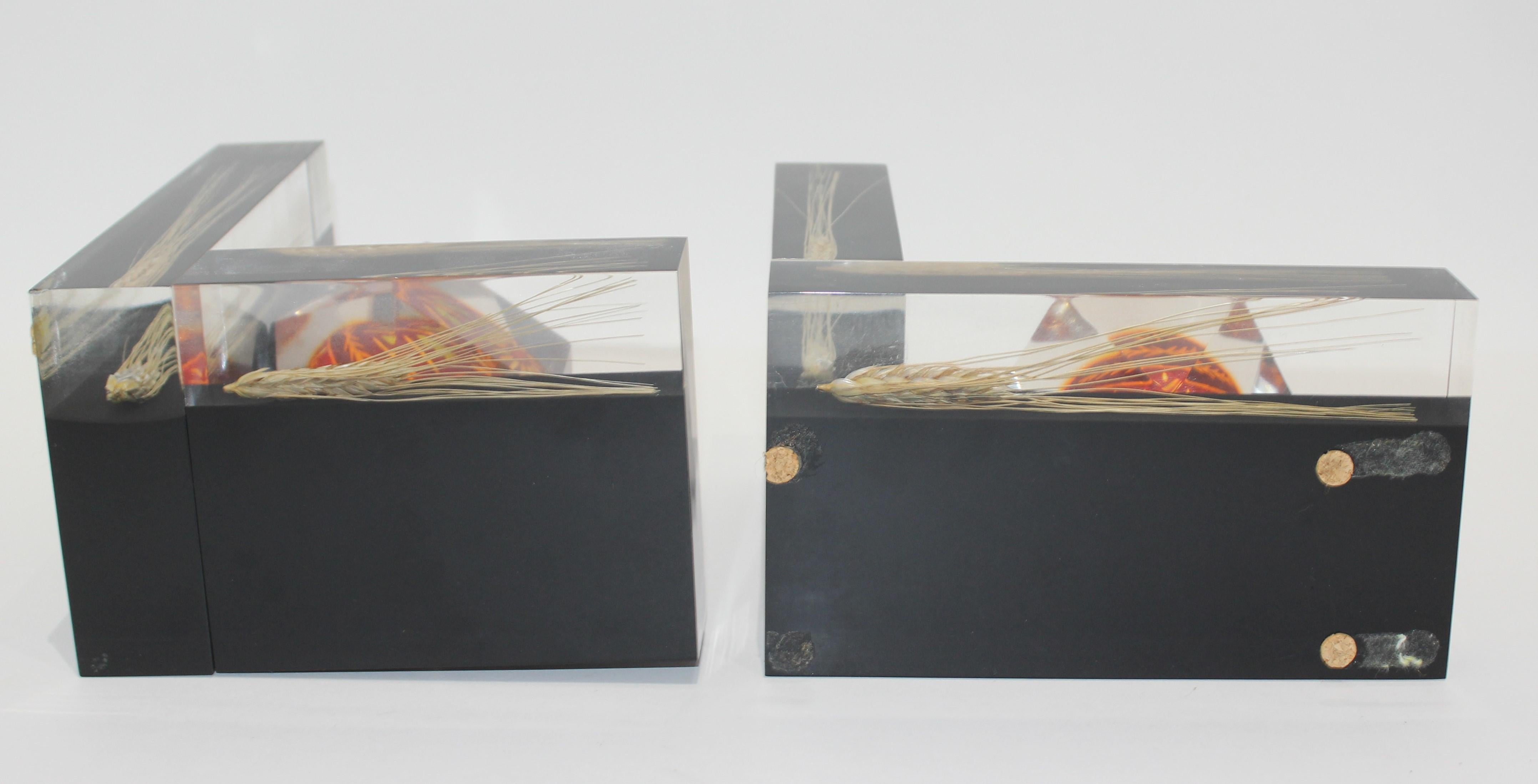 Eggshell Pair of Lucite Bookends Ukraine Pysanka Easter Egg and Wheat For Sale