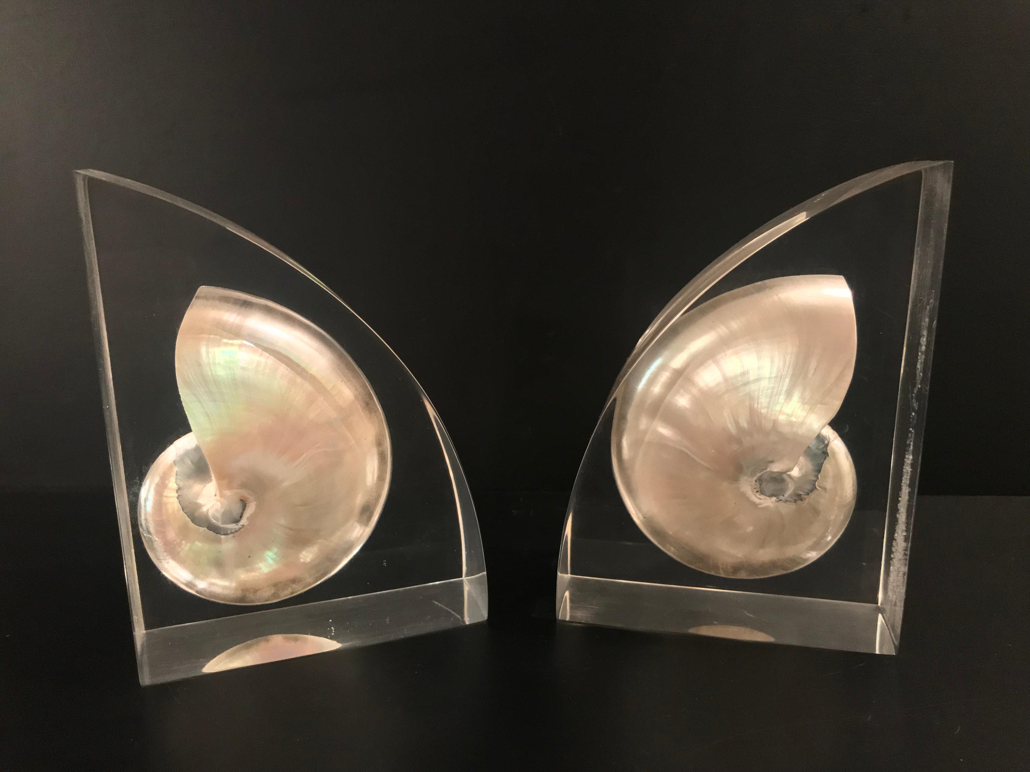 Pair of Lucite Bookends with Encased Nautilus Shell For Sale 5