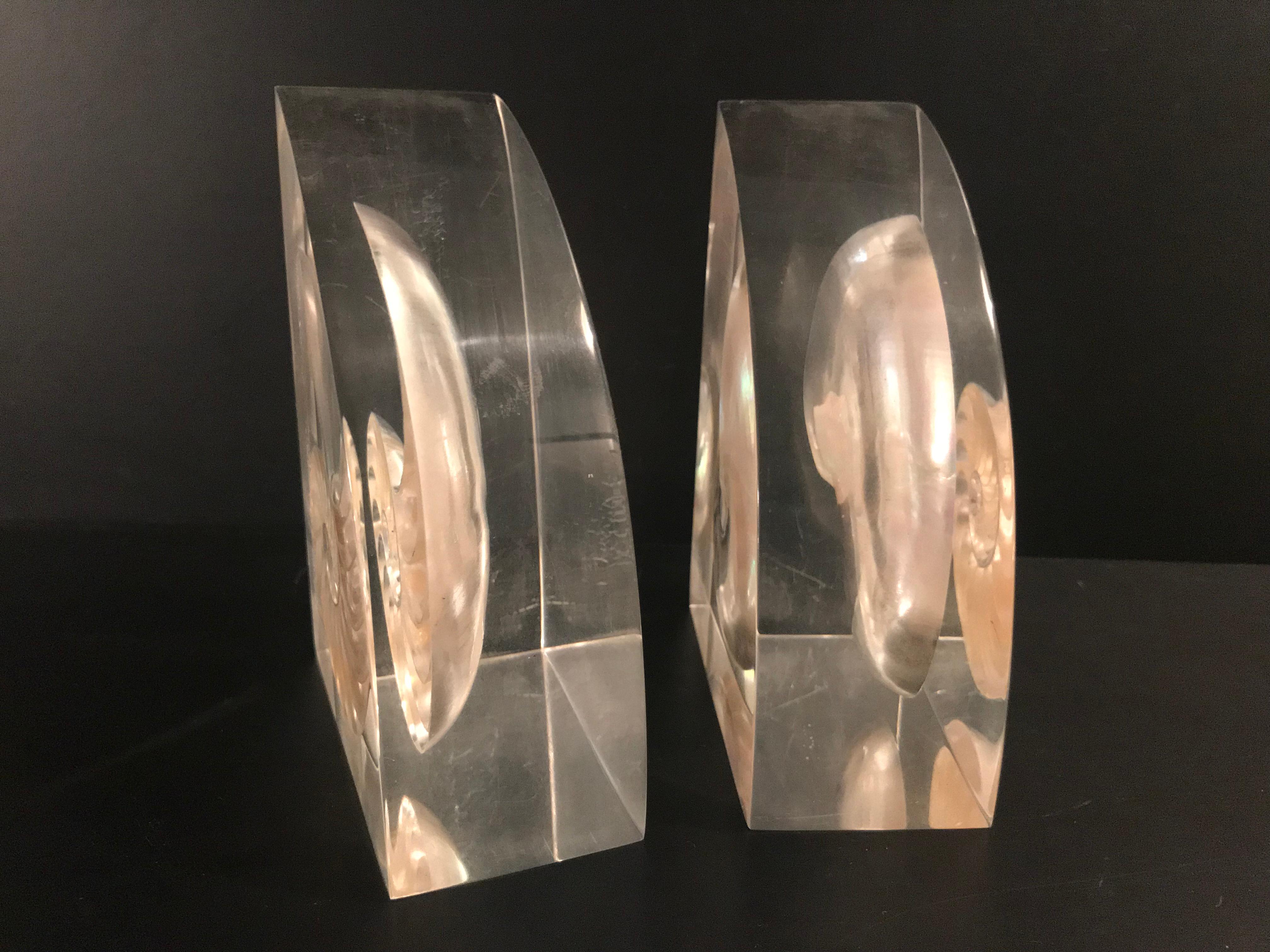 Pair of Lucite Bookends with Encased Nautilus Shell For Sale 8