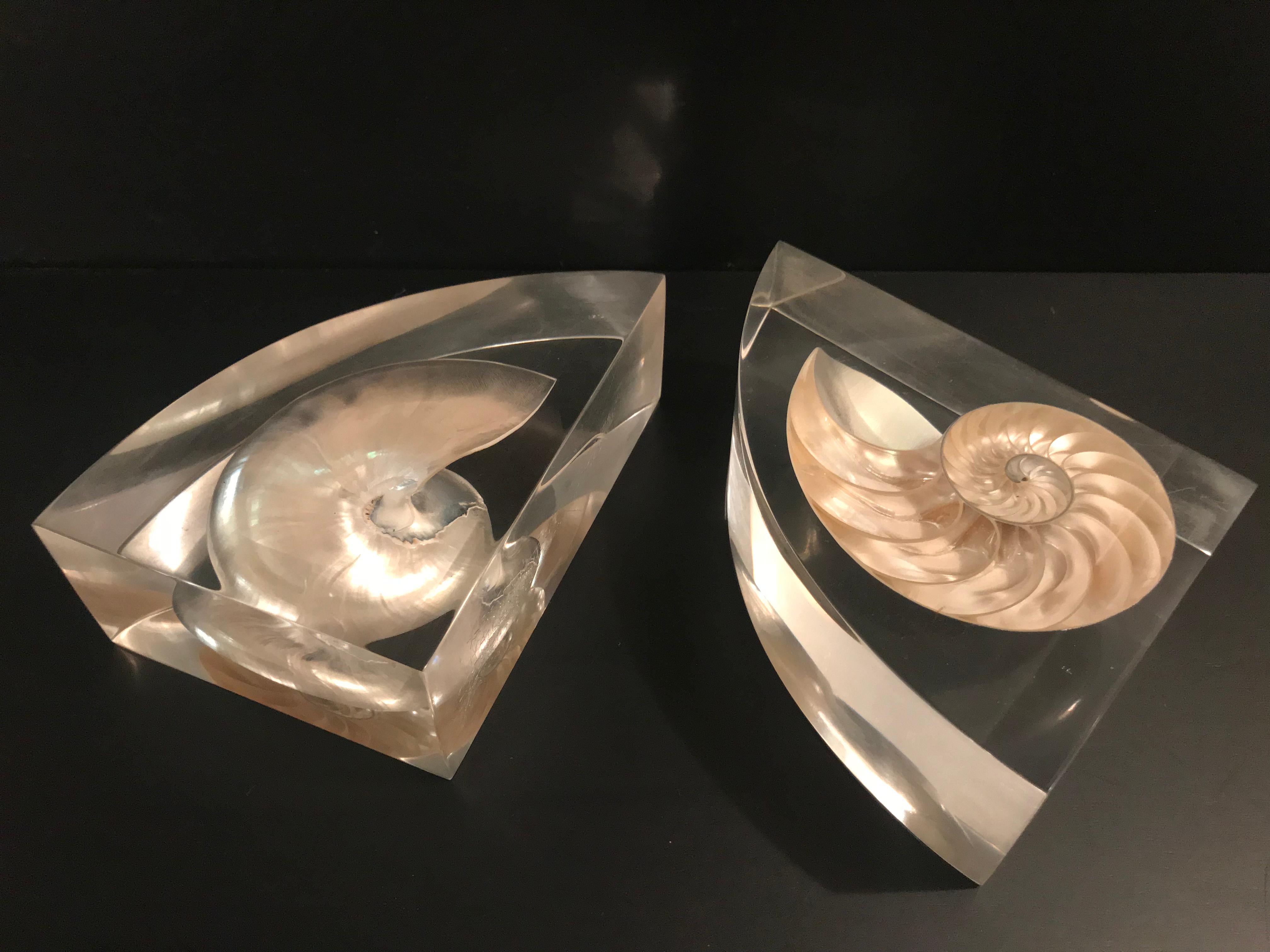 Pair of Lucite Bookends with Encased Nautilus Shell For Sale 9