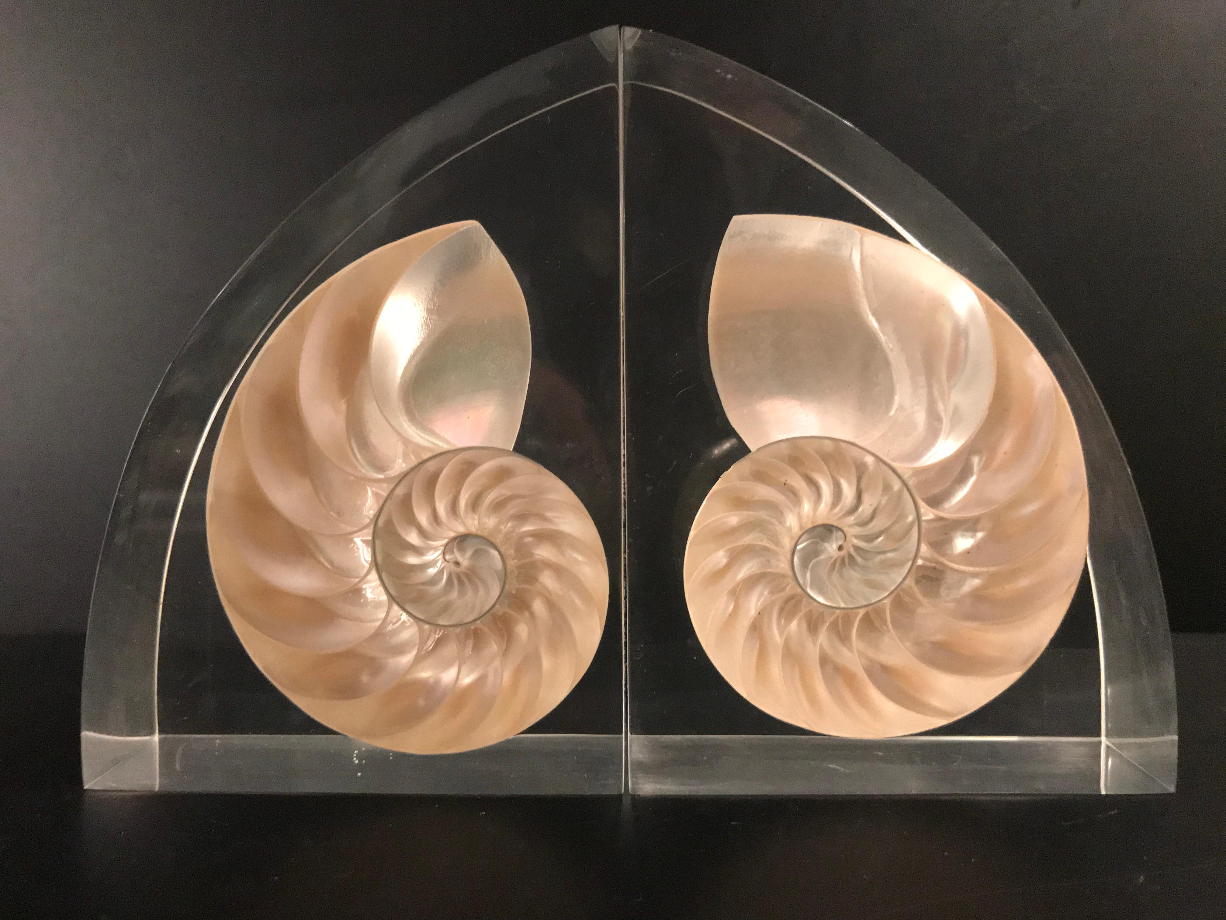 Pair of Lucite Bookends with Encased Nautilus Shell For Sale 11
