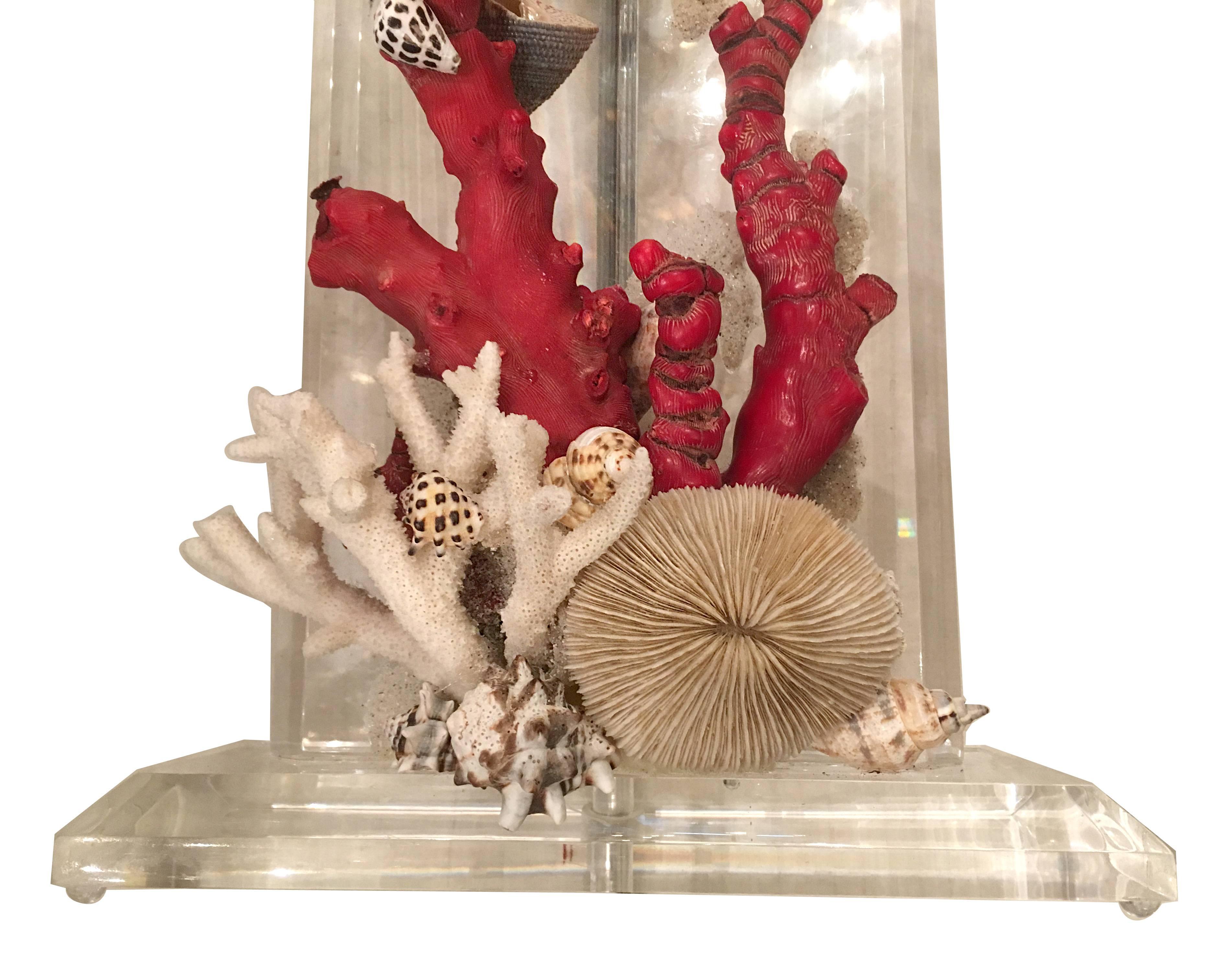 Mid-20th Century Pair of Lucite Lamps with Coral and Sea Shells For Sale