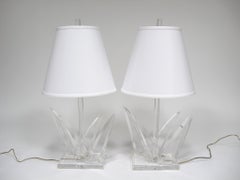 Pair of Lucite Table Lamps by Van Teal