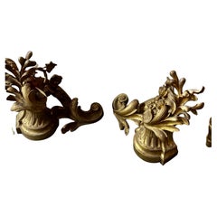 Pair of magnificent chenet in bronze