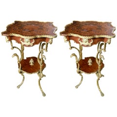 Pair of Mahogany Inlaid Side Tables, Rich Bronze Decoration , France 1860