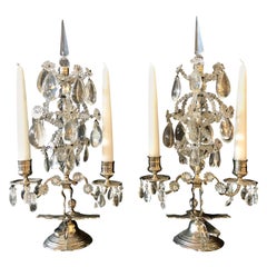 Pair of Maison Baguès Style Candelabras in Silvered Bronze and Crystal