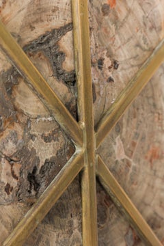 Pair of Maison Jansen French Petrified Wood Table Lamps on Black Lacquered Bases