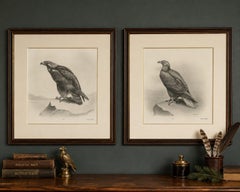 Pair of Majestic British Eagle Photogravures by L. M. Medland, 1908