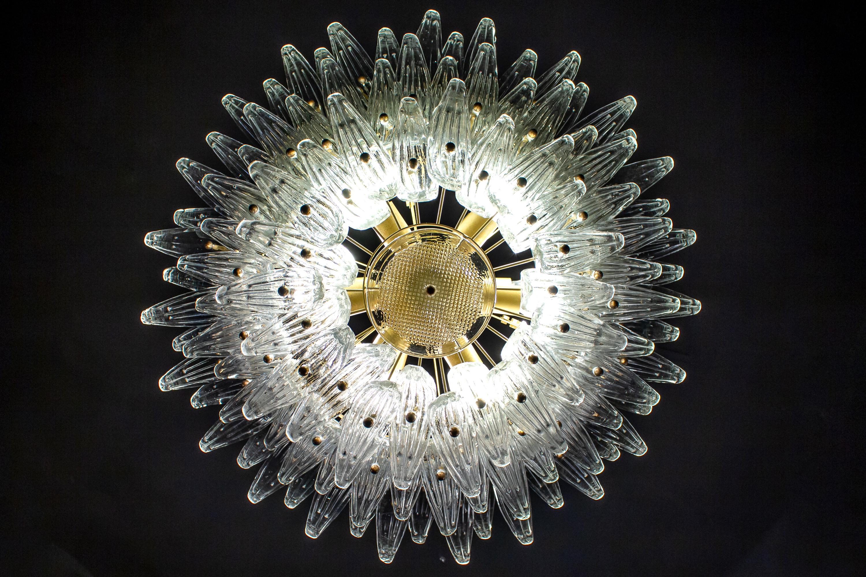 Pair of Majestic Murano Palmette Chandelier, 1970s 7