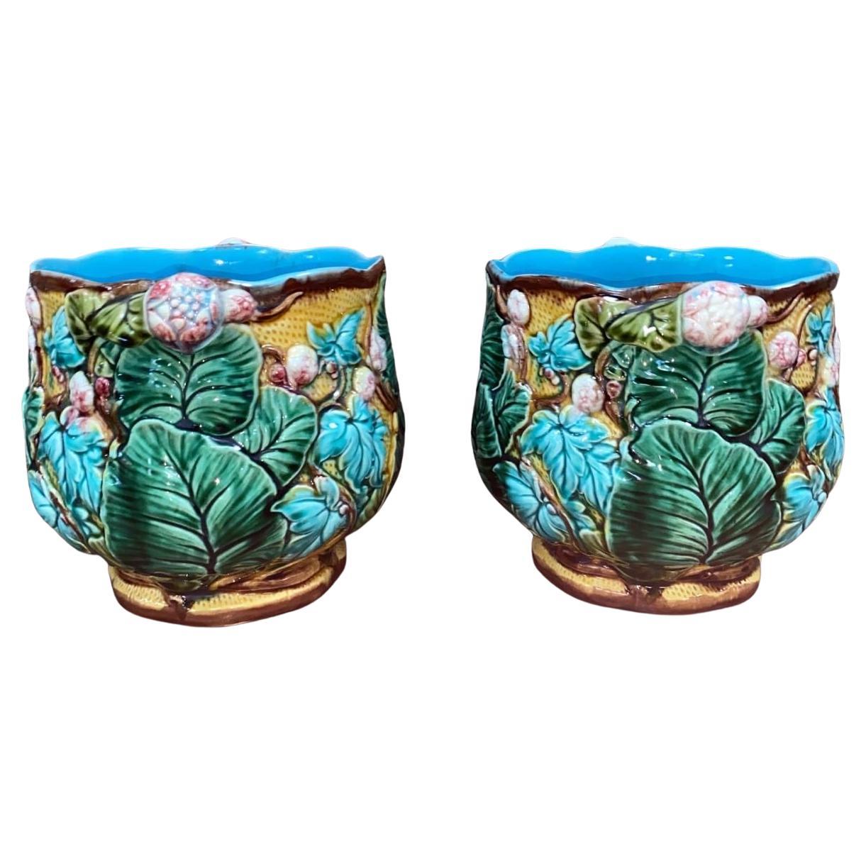 Fin du XIXe siècle Paire de pots en majolique à fleurs et feuilles en Cache Luneville Circa 1890 en vente