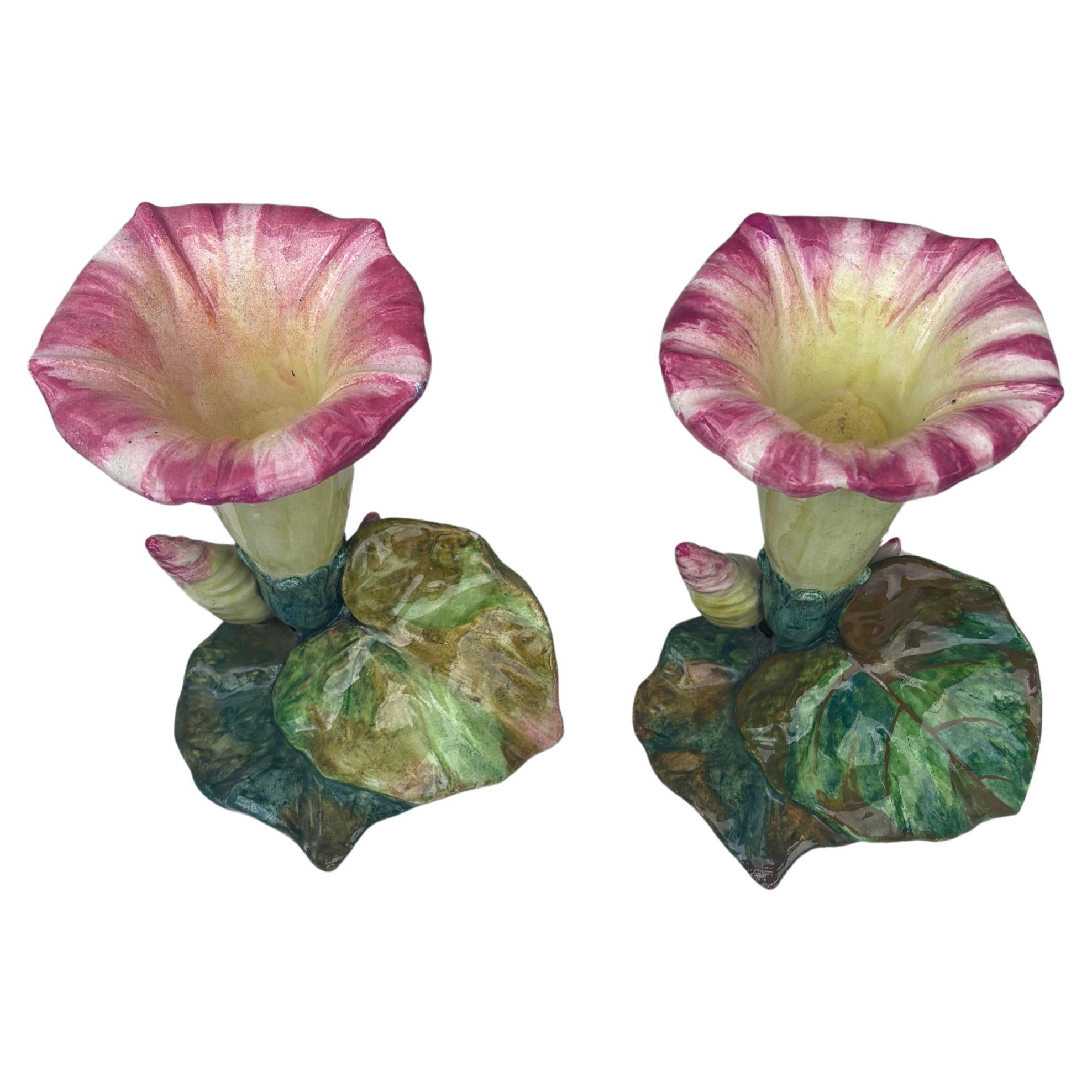 Pareja de jarrones de mayólica Jerome Massier, hacia 1900.
La familia Massier es conocida por la calidad de sus esmaltes y pinturas únicos. Producían una increíble gama de flores como iris, rosas, margaritas, rosas silvestres, orquídeas y