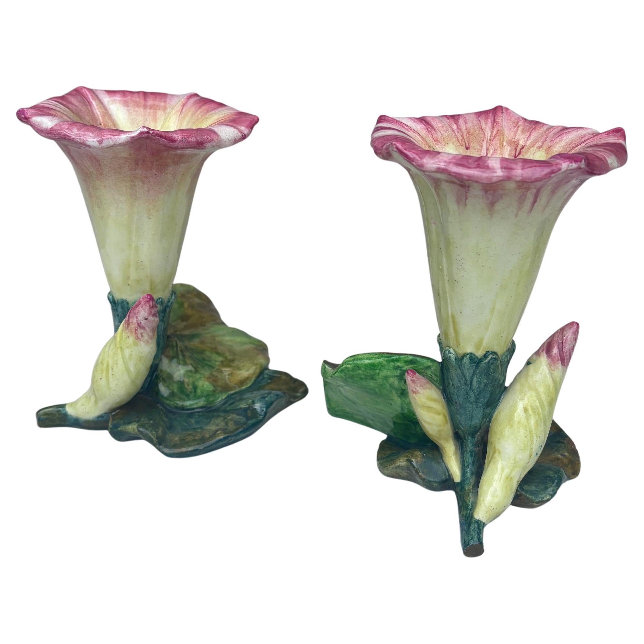 Pareja de jarrones de mayólica Morning Glory Jerome Massier, circa 1900 Francés en venta