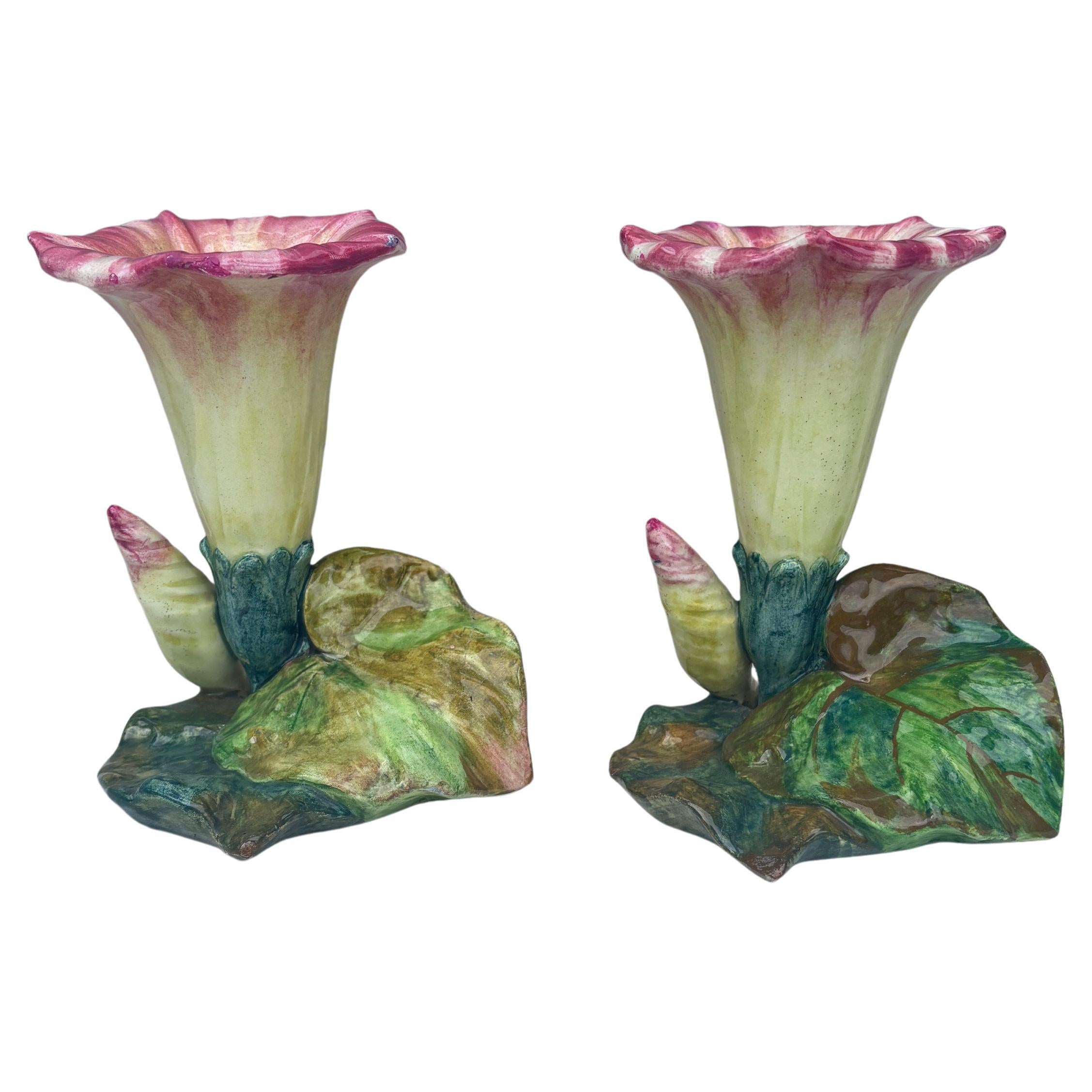 Pareja de jarrones de mayólica Morning Glory Jerome Massier, circa 1900 principios del siglo XX en venta