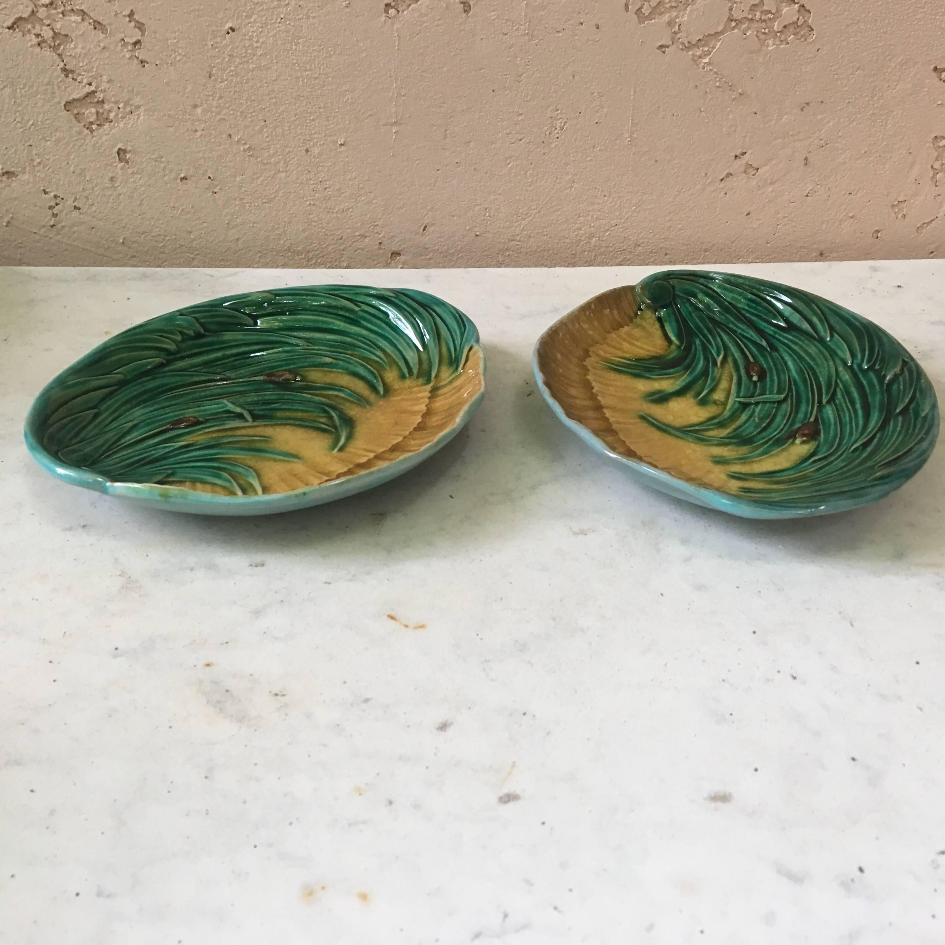 Unusual pair of small Majolica platters in a shell shape decorated with reeds, circa 1880.