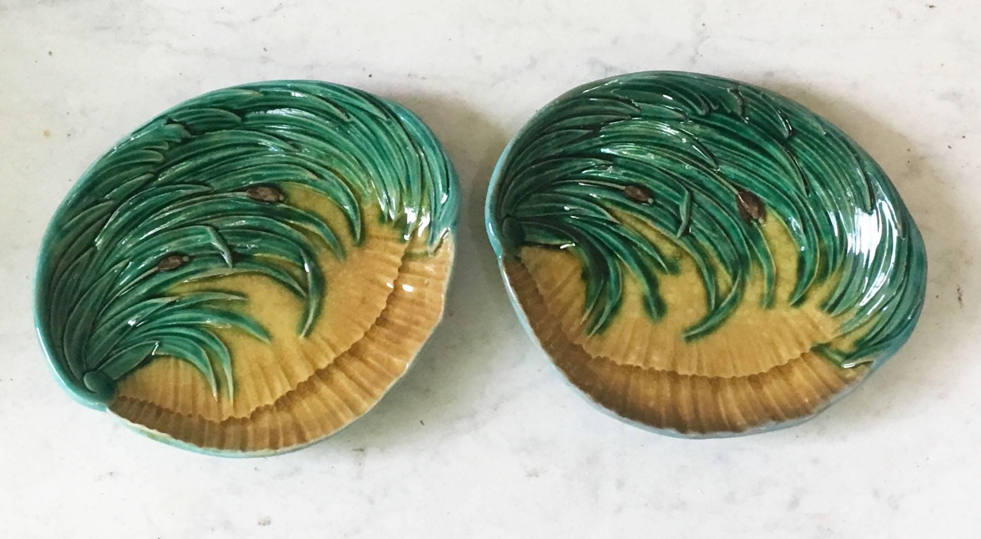 Victorian Pair of Majolica Shells Platters with Reeds, circa 1880 For Sale