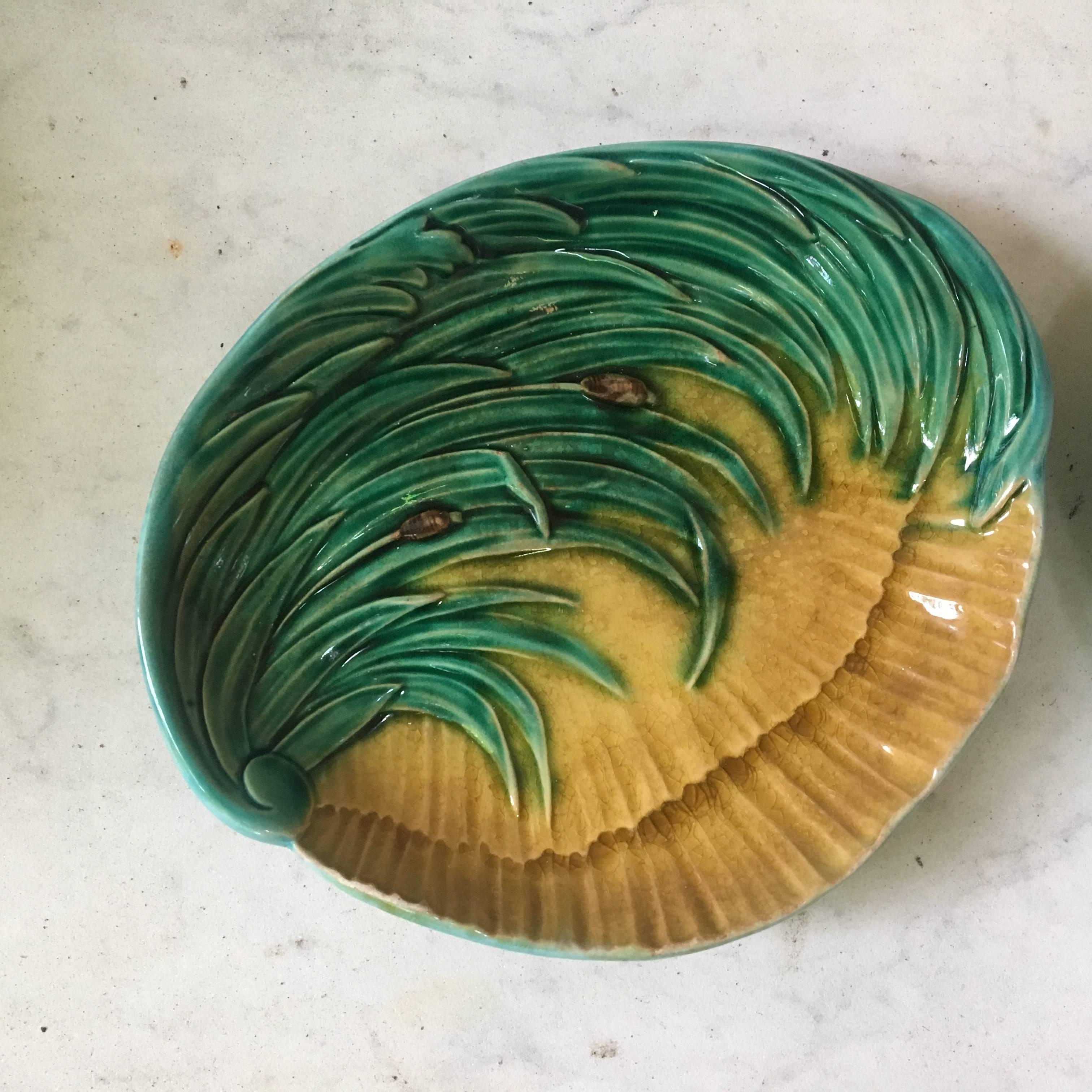 British Pair of Majolica Shells Platters with Reeds, circa 1880 For Sale