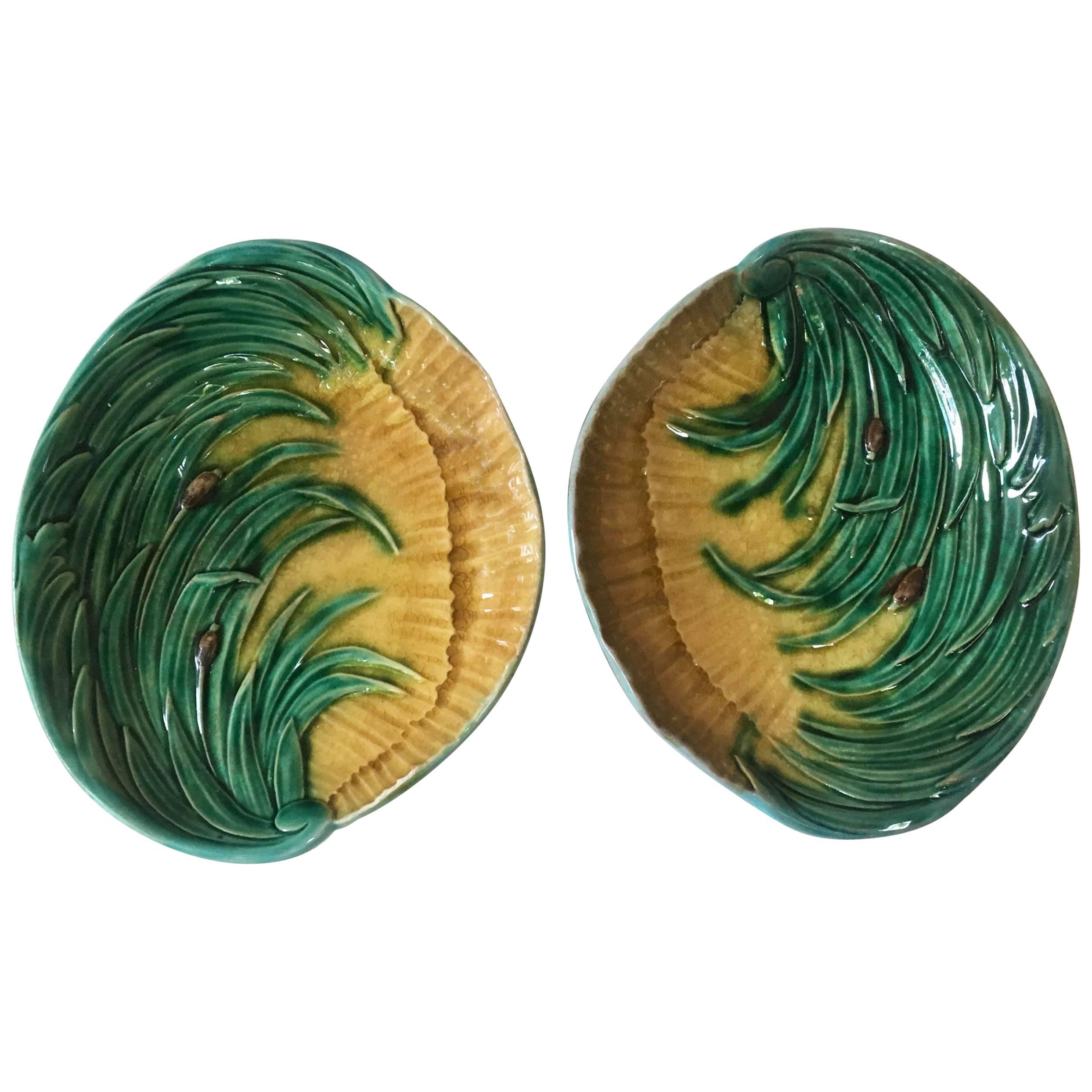 Pair of Majolica Shells Platters with Reeds, circa 1880 For Sale