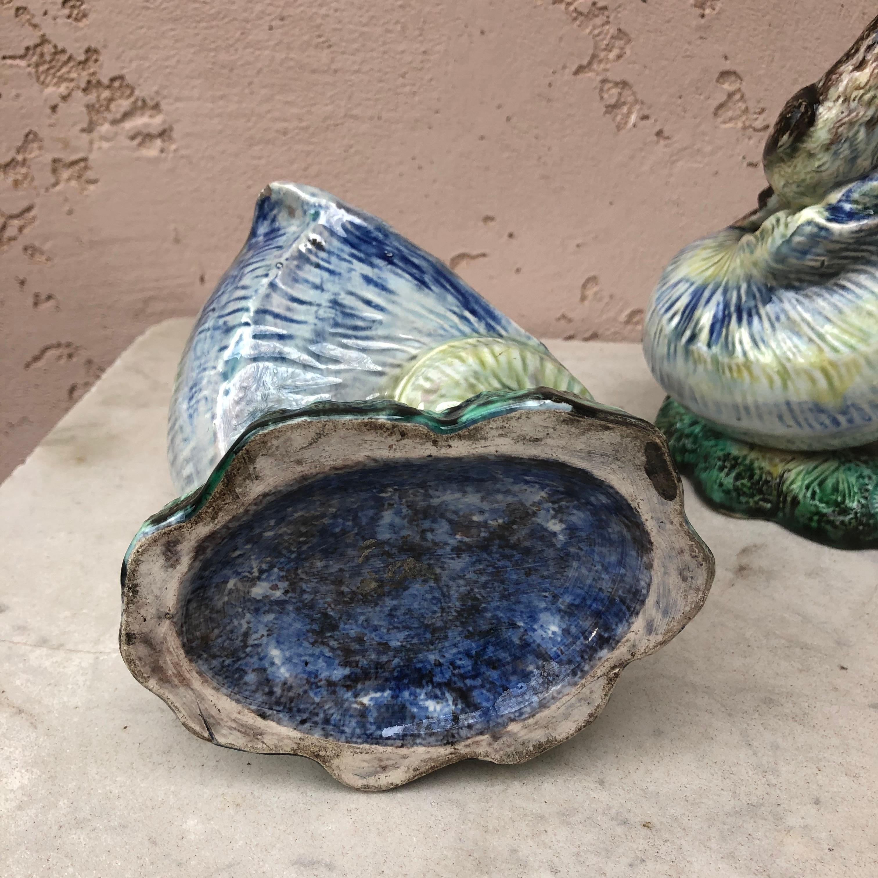Pair of Majolica Shells with Birds Swallows Jardinieres Circa 1890 1