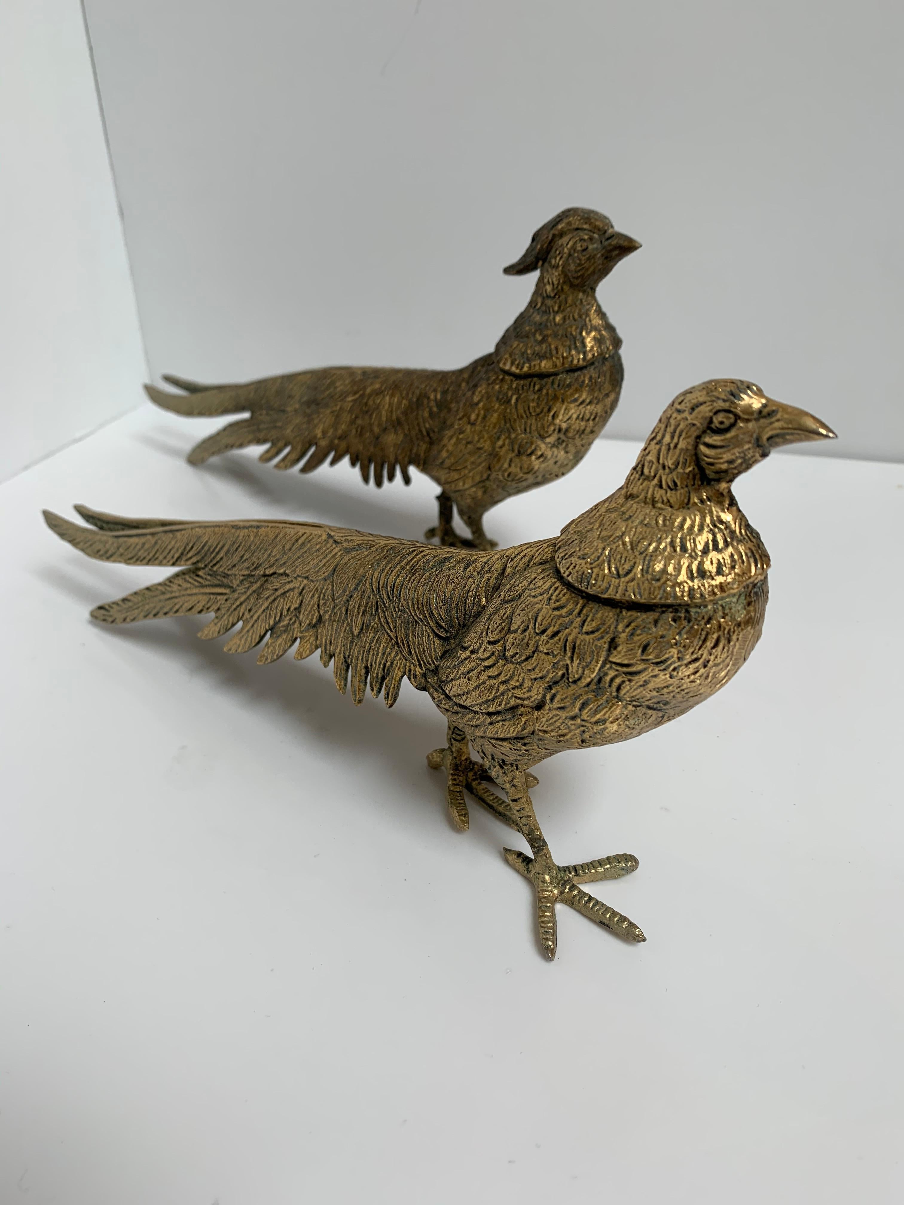Pair of male and female brass pheasants.