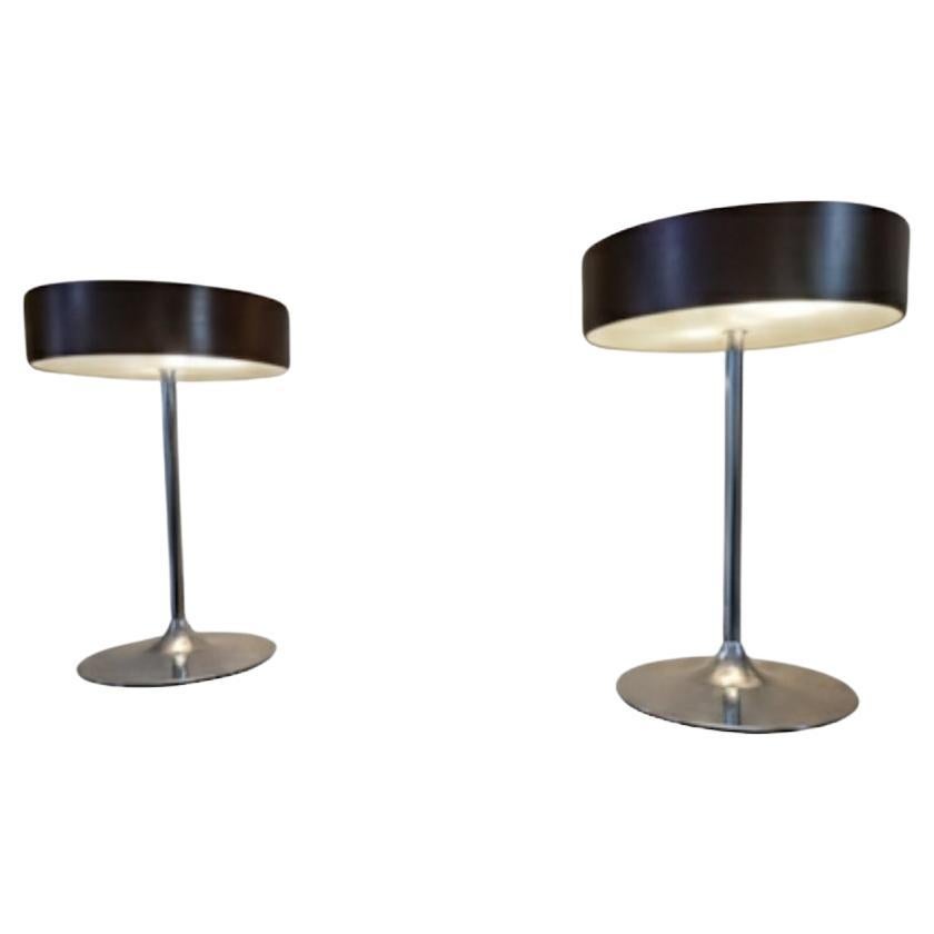 Pair of Malibu Lamps 1970s Italian lighting